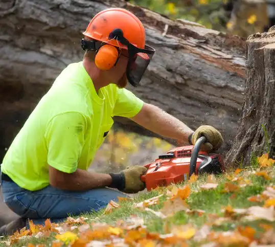 tree services Ocean Gate